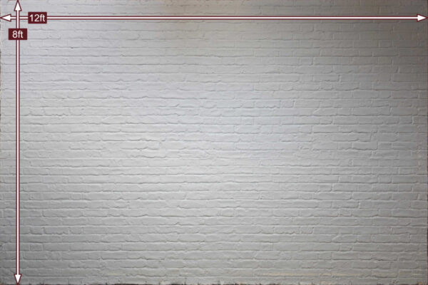 06 Brick Wall 3660 x 2440mm - front